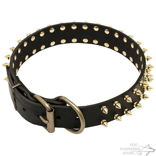 Dog Collar with Spikes