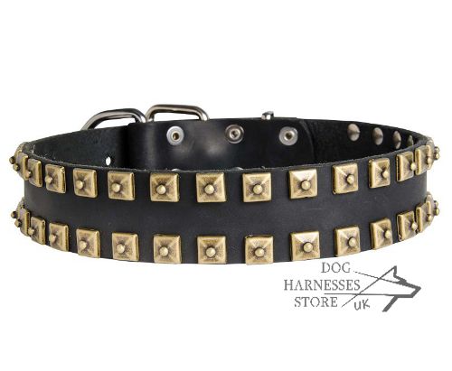 Fashion Dog Collar UK