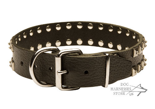 Leather-Dog Collar UK