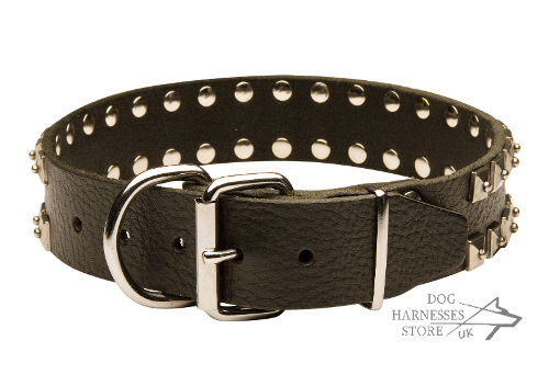 Studded Dog Collars UK