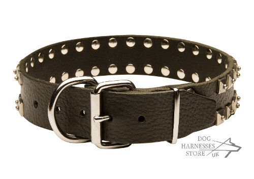 Studded Dog Collars UK