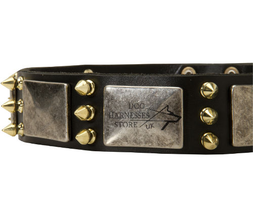 Exclusive Dog Collar