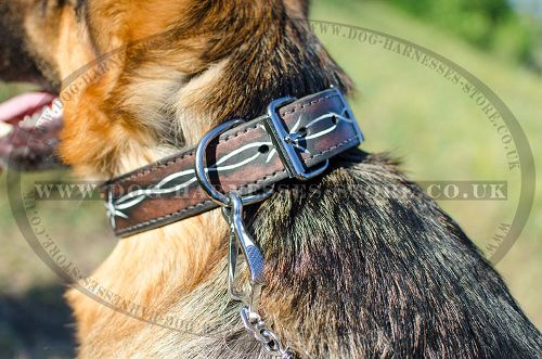 Dog Walking Collar