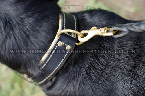 Nappa Leather Dog Collar