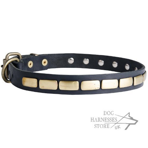 Leather Dog Collar, Necklace