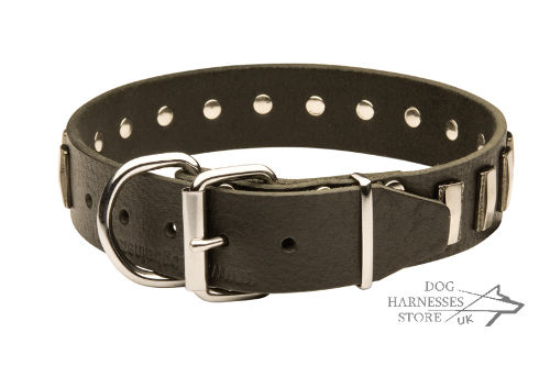 Leather Dog Collar UK