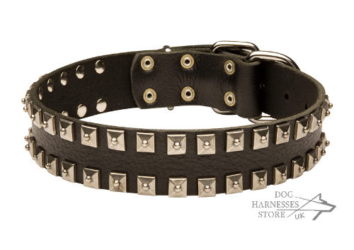 Studded Dog Collar