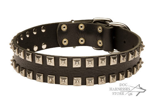 Leather Dog Collar for Husky