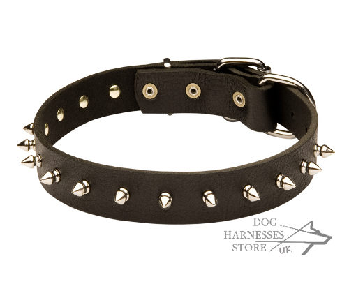 Spiked Dog Collar