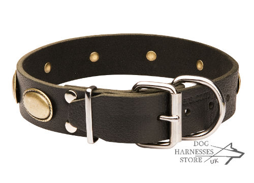 Leather Dog Collar UK