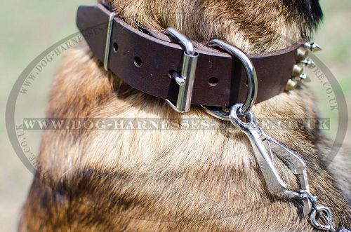 Buckle Dog Collar