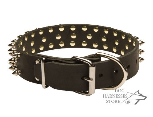 Spiked Leather Dog Collar