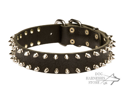 Spiked Dog Collar