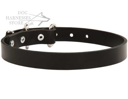 Dog Collar Leather