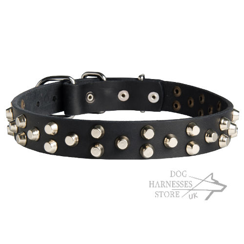 Studded Dog Collar