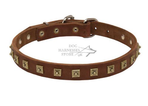 Elegant Dog Collar UK