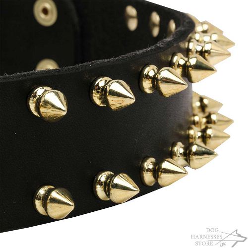 Spiked Dog Collar