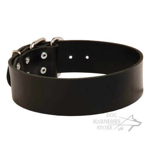 Leather Dog Collar