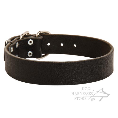 Wide Leather Dog Collar