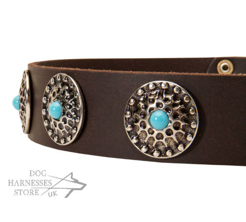 Modern Dog Collar