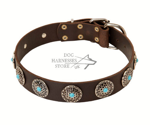 Studded Dog Collar