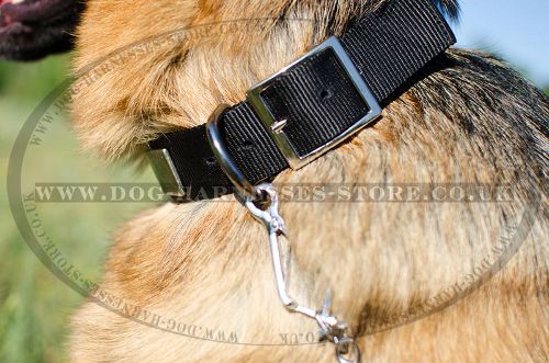 Strong Dog Collar