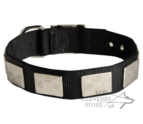 Nylon Dog Collar