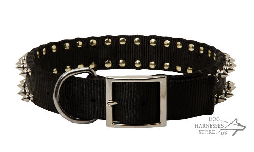 Nylon Dog Collar