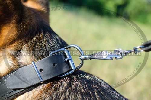 Strong Leather Dog Collar