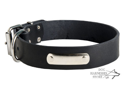 Personalized Dog Collar