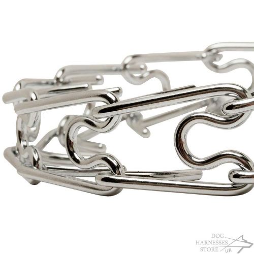 Prong Dog Collar