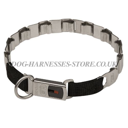 Prong Dog Collar