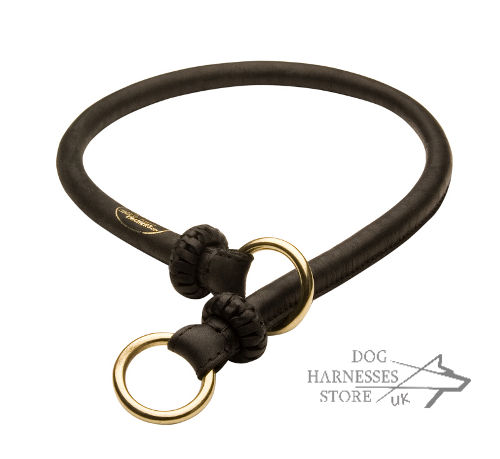 Rolled Leather Choke Dog Collar