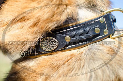 Handmade Dog Collar