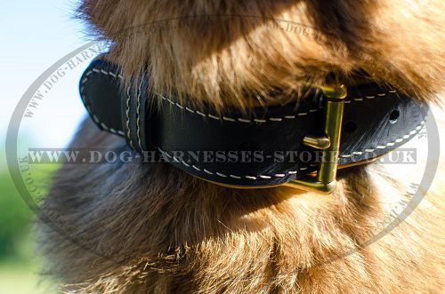 Wide Leather Dog Collar