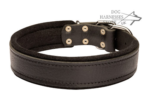 Soft Dog Collar