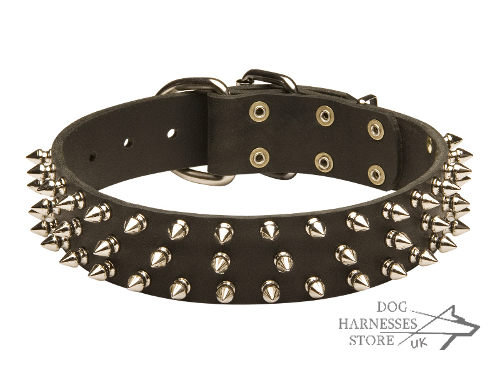 Doberman Leather Collar