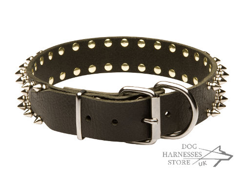 Spiked Leather Dog Collar UK