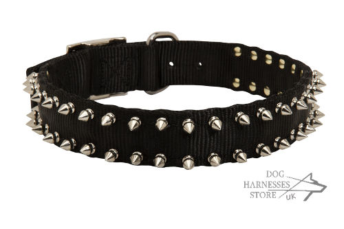 Spiked Dog Collar, Nylon