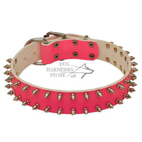 Pink Dog Collar Spiked for Doberman Unusual Dog Collars UK