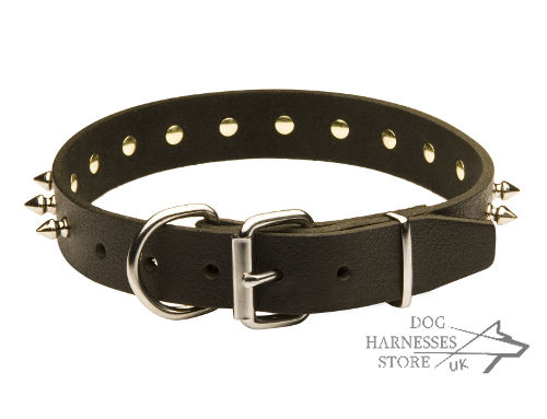 Spiked Leather Dog Collar