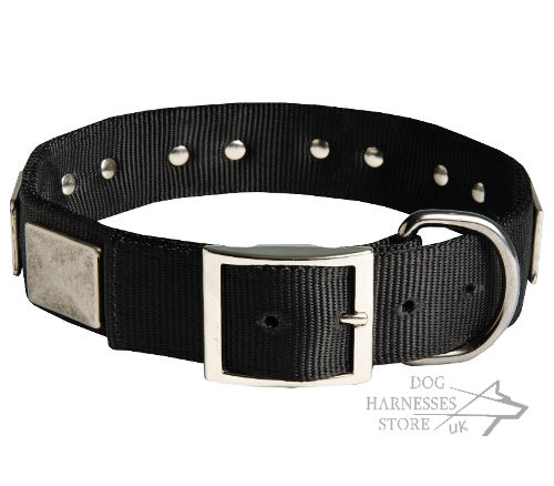 Nylon Dog Collars UK