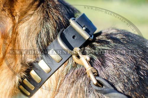 Strong Dog Collar