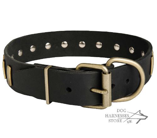 Wide Leather Dog Collar