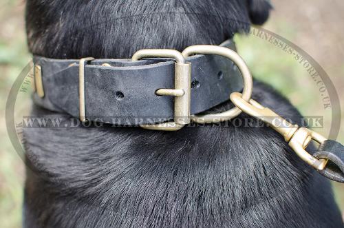 Leather Dog Collar UK