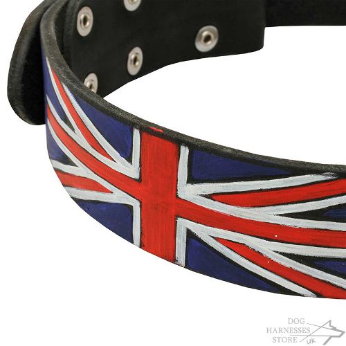 Stylish Dog Collar