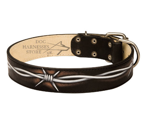 Unique Dog Collars for Sale