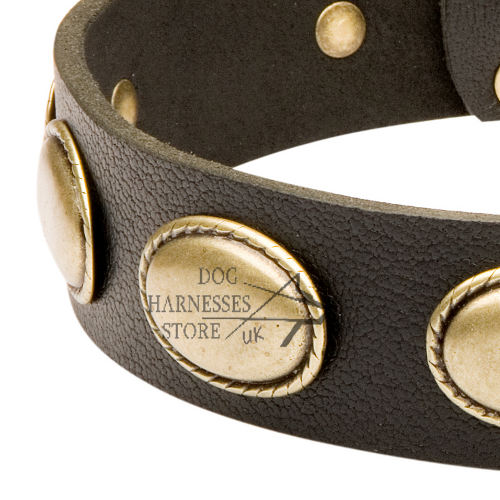 Vintage Dog Collar