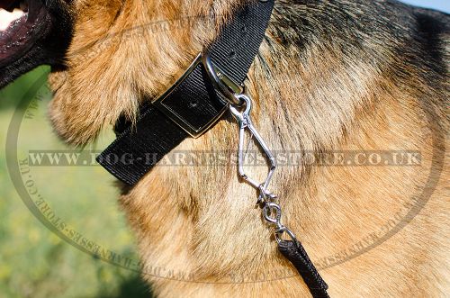 Heavy Duty Dog Collar