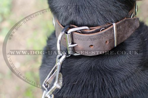 Vintage Dog Collar